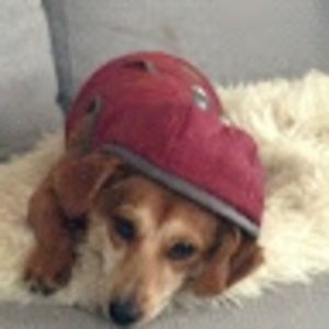 Meet your Posher, Cecilia